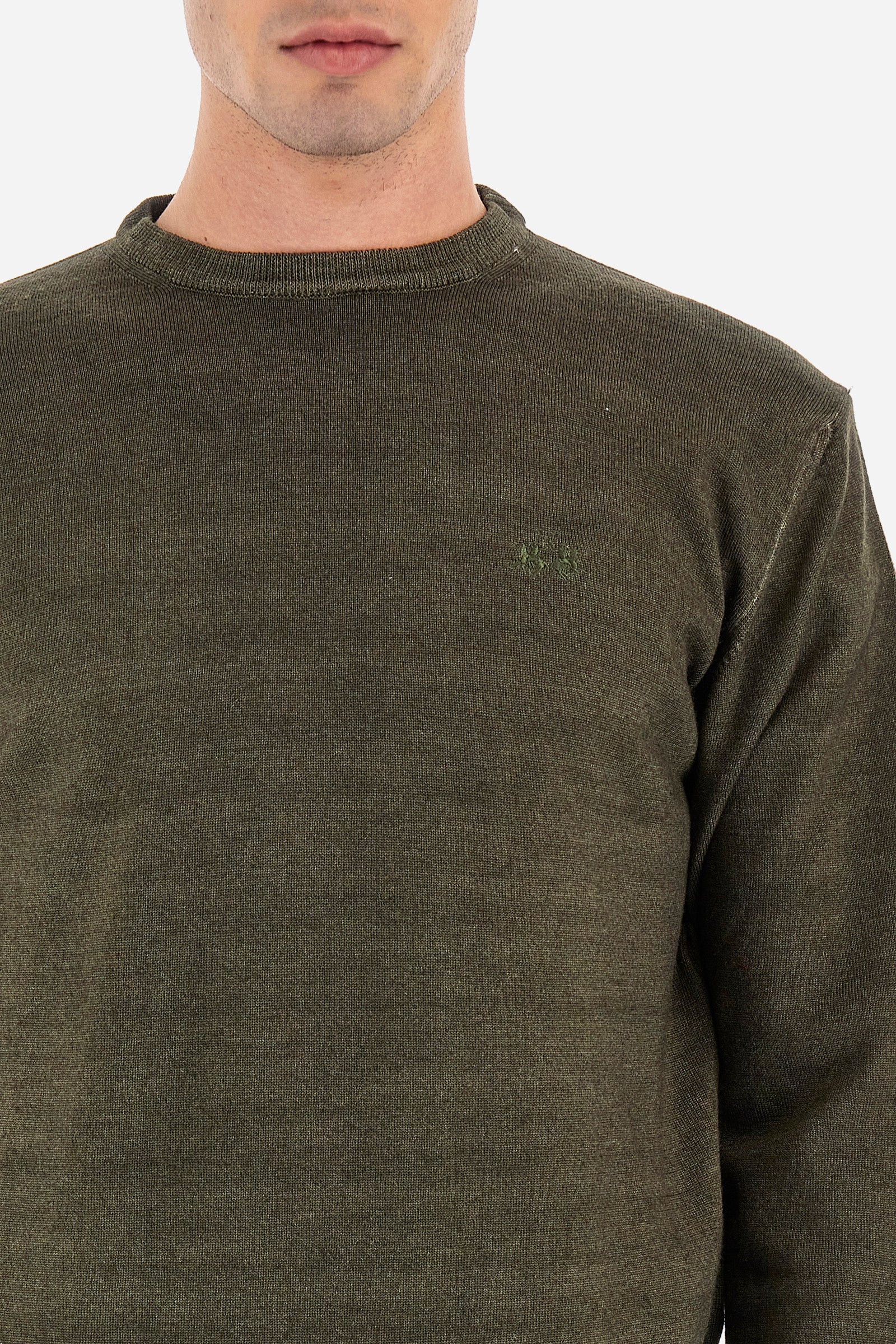 This long-sleeved crew-neck men's top is made of 100% wool and has a regular fit that makes it comfortable without being tight. Belonging to the Essential line, the solid colour of this top allows it to be easily combined with other items in your wardrobe, while the small embroidered logo on the chest adds a touch of subtle elegance to the garment. Perfect for those looking for a versatile and quality garment. The model is 187 cm tall and wears a size L. - Ivy Green
