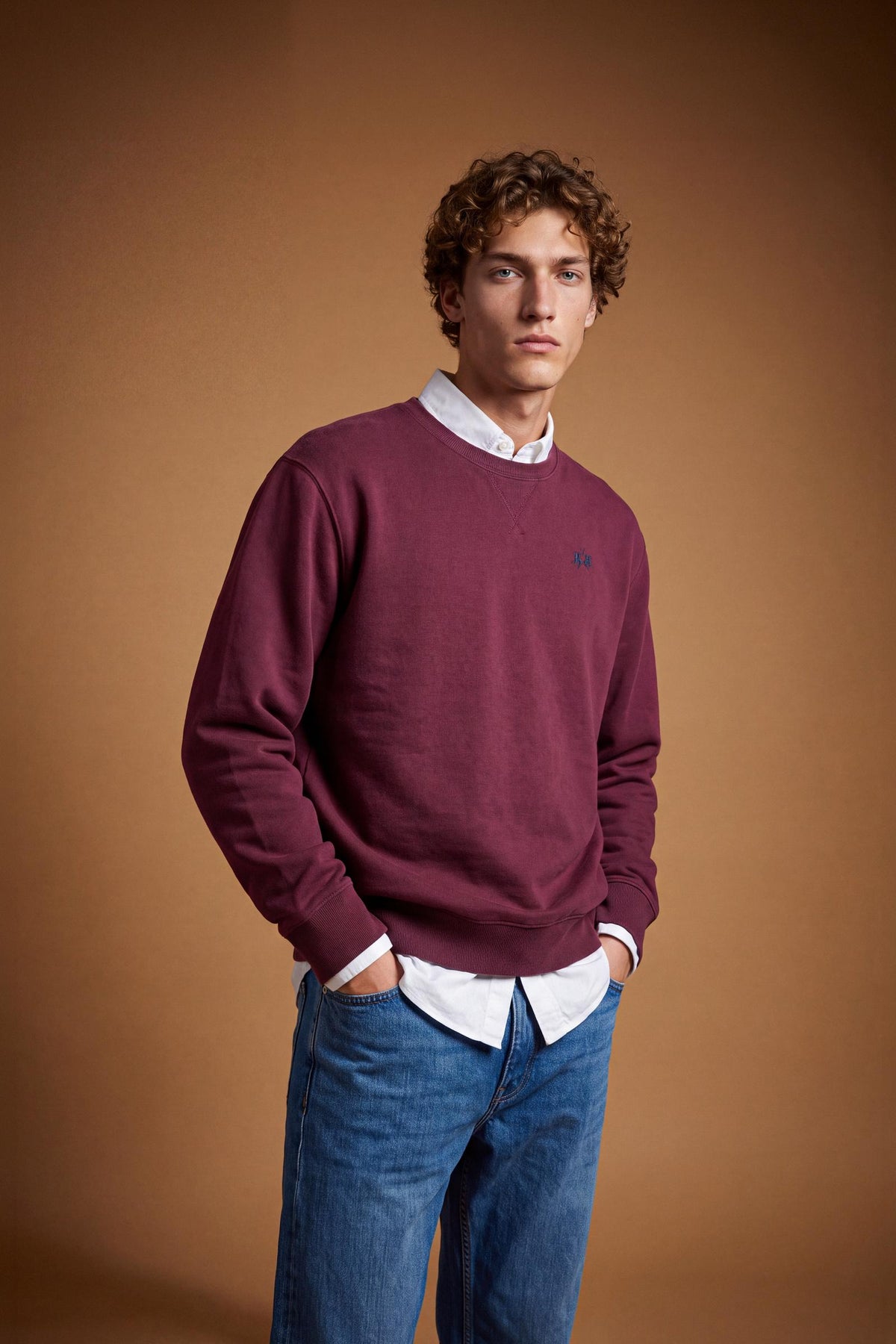 Men’s long-sleeve crewneck sweatshirt in soft 100% cotton with velvety texture, ribbed details, stitched "V" front, and contrast embroidered logo for a comfortable fit. - Port Royale