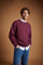 Men’s long-sleeve crewneck sweatshirt in soft 100% cotton with velvety texture, ribbed details, stitched "V" front, and contrast embroidered logo for a comfortable fit. - Port Royale