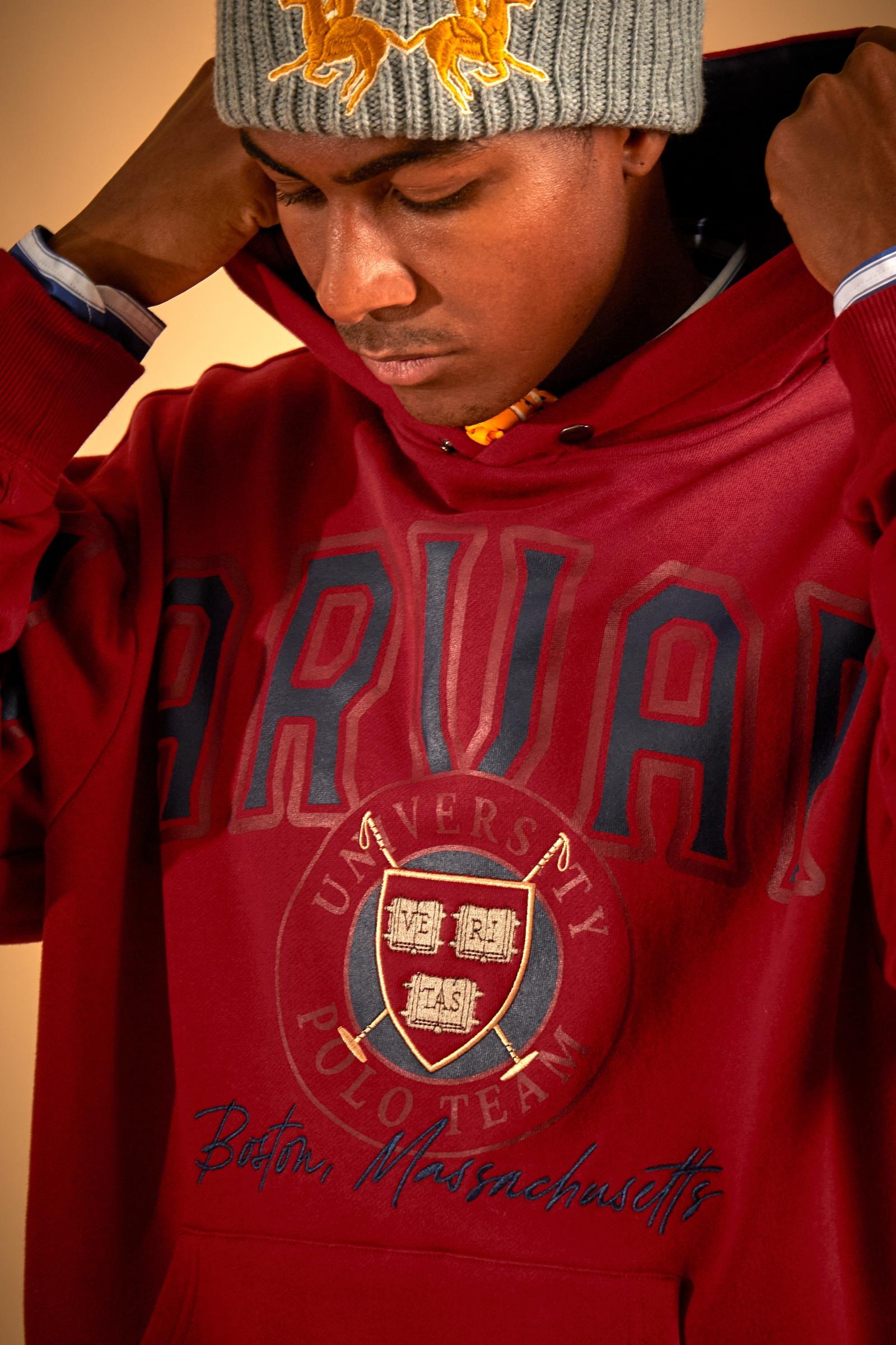 Herren-Sweatshirt mit Kapuze aus angerauter Baumwolle Harvard - Dubh