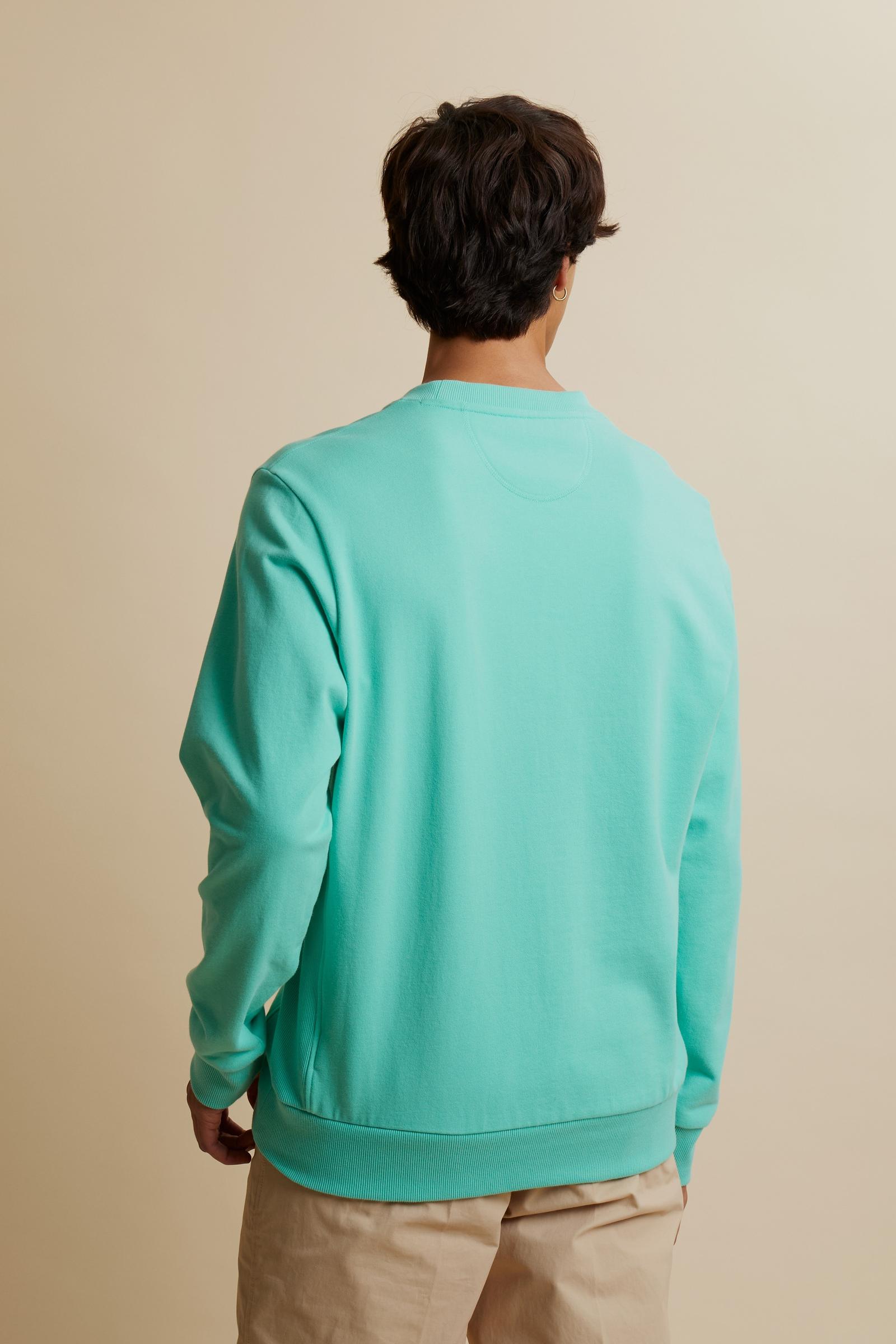 Men’s cotton sweatshirt with logo – Aldo