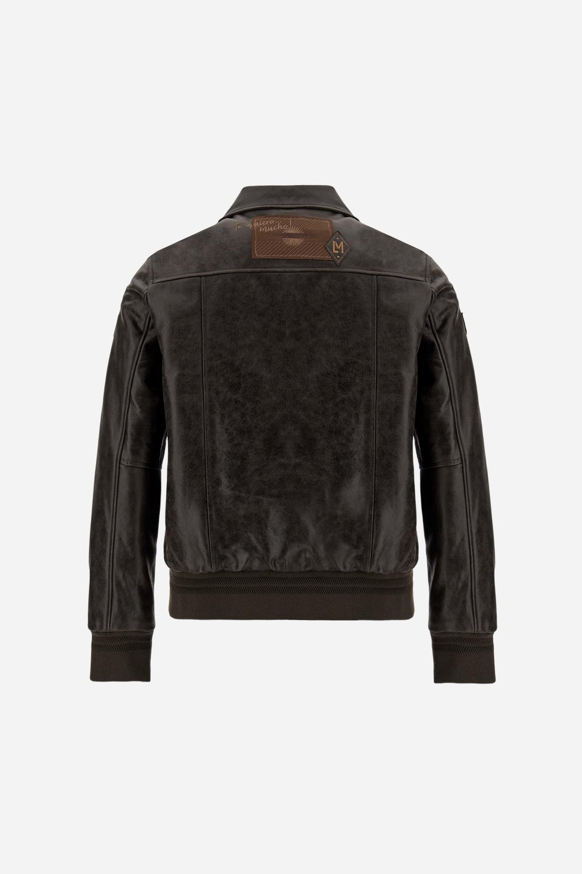Herren Leder-Bomber im Aviator-Stil - Darrel
