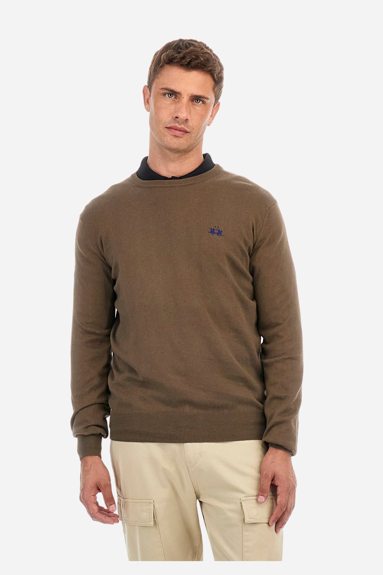 Pullover aus Baumwolle und Wolle, Regular Fit – Zayden