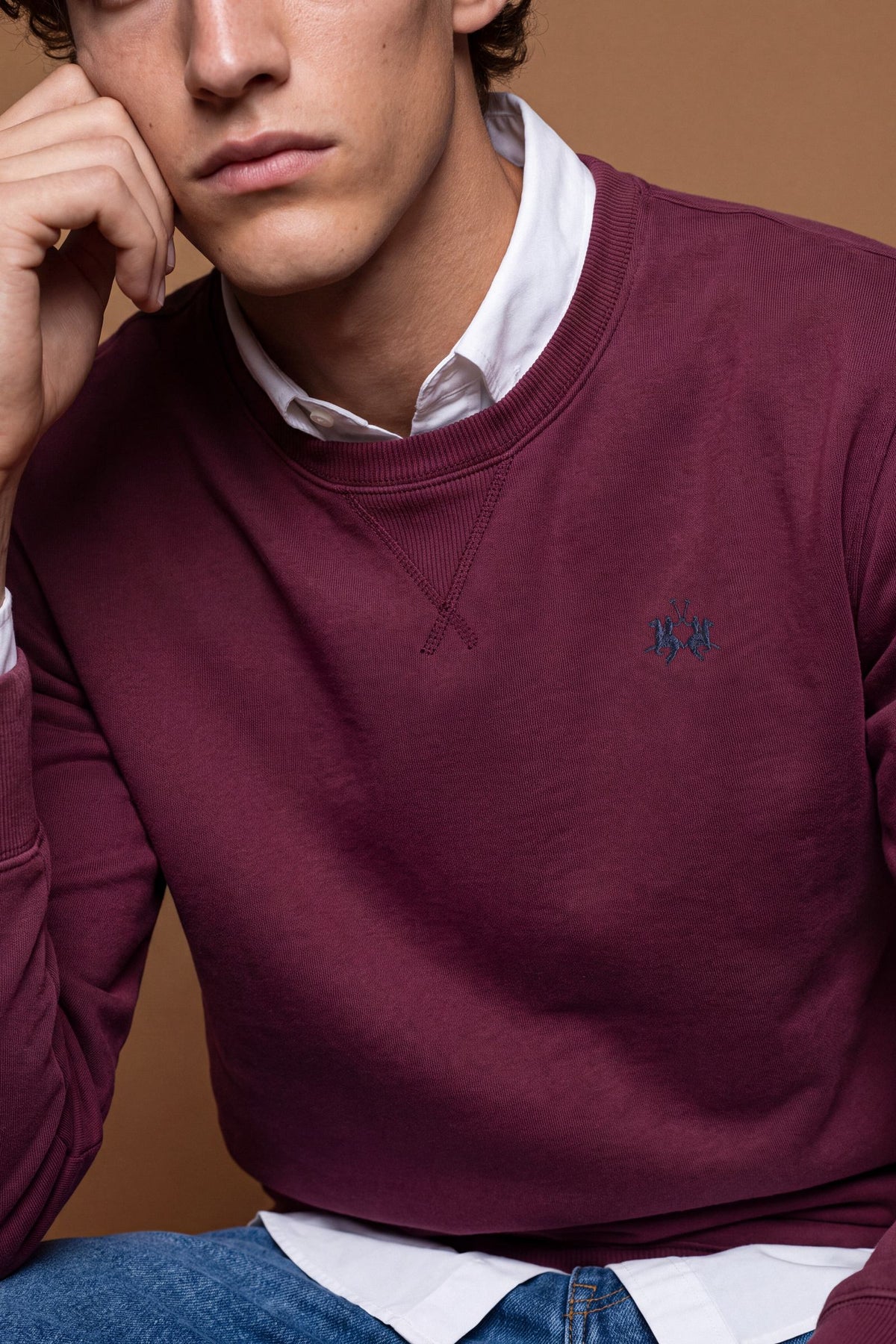 Men’s long-sleeve crewneck sweatshirt in soft 100% cotton with velvety texture, ribbed details, stitched "V" front, and contrast embroidered logo for a comfortable fit. - Port Royale