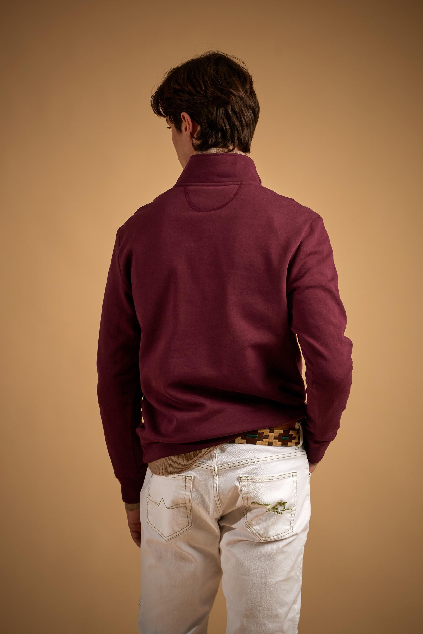 Men's half-zip sweatshirt in brushed cotton Cortina - Dominic