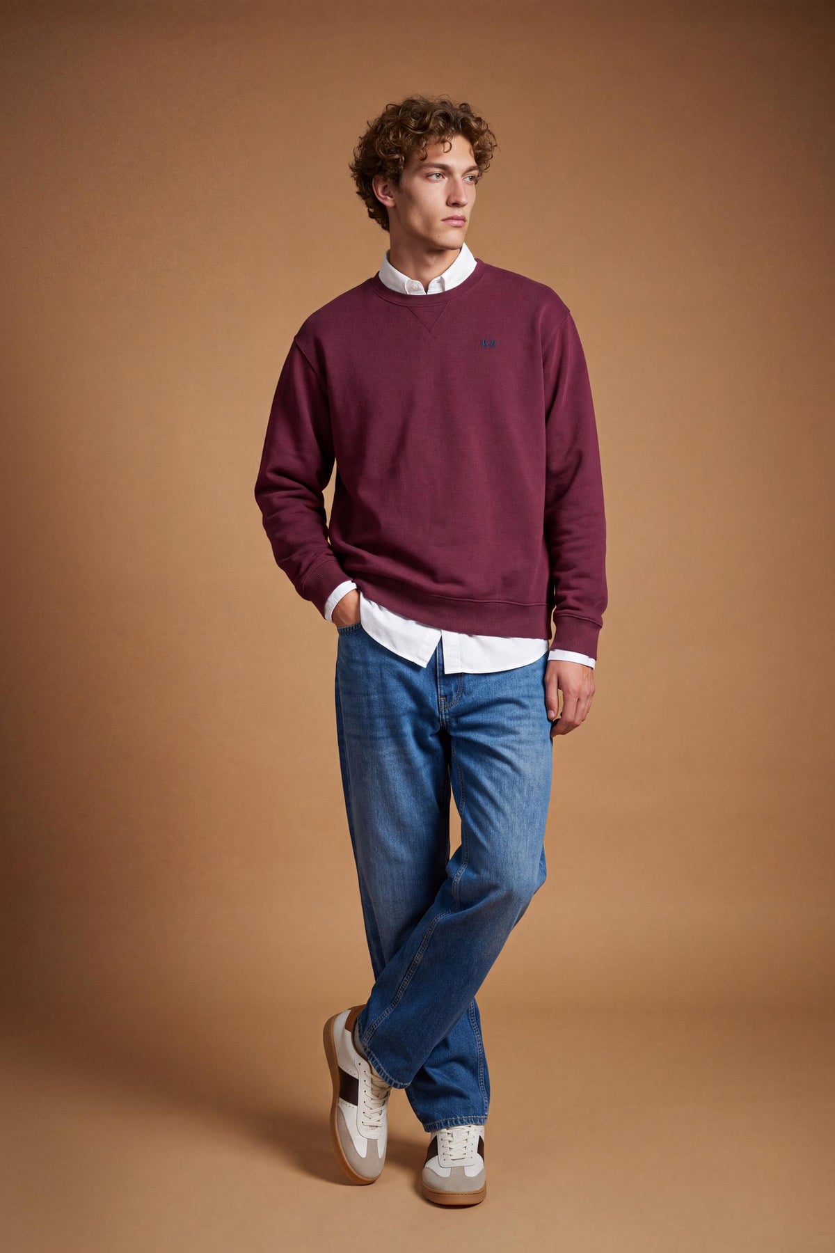 Men’s long-sleeve crewneck sweatshirt in soft 100% cotton with velvety texture, ribbed details, stitched "V" front, and contrast embroidered logo for a comfortable fit. - Port Royale