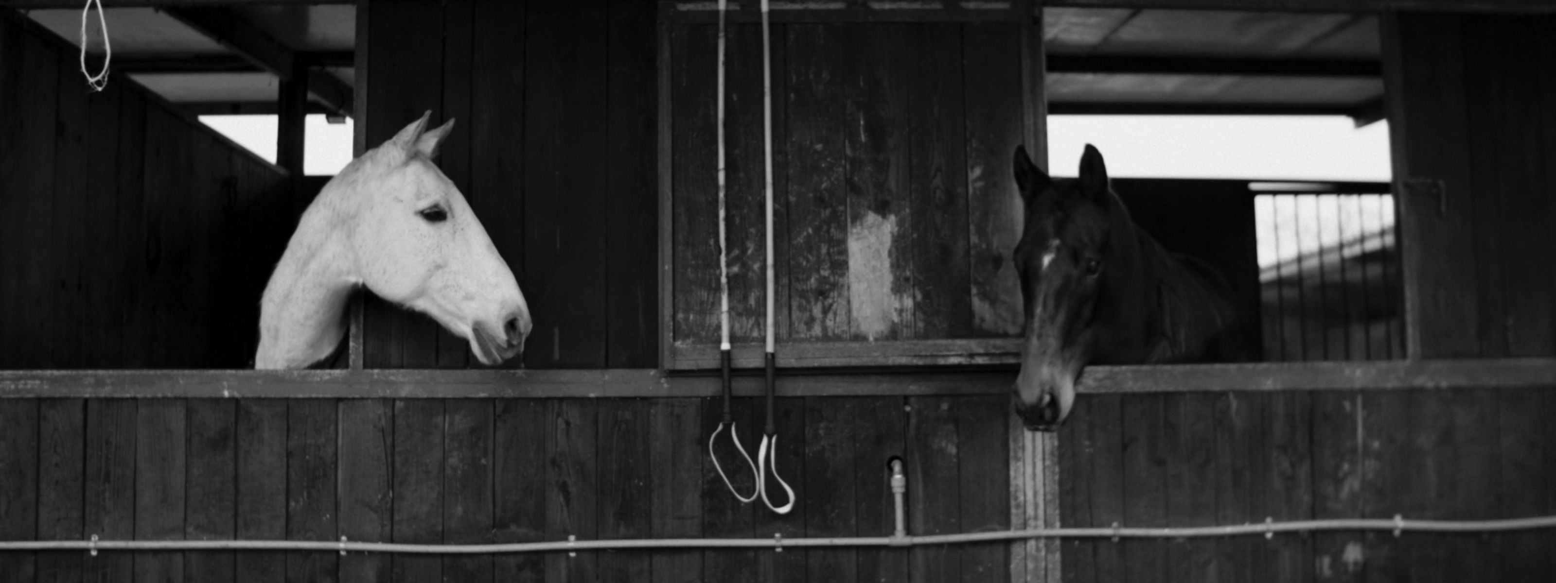 La Martina sense of belonging