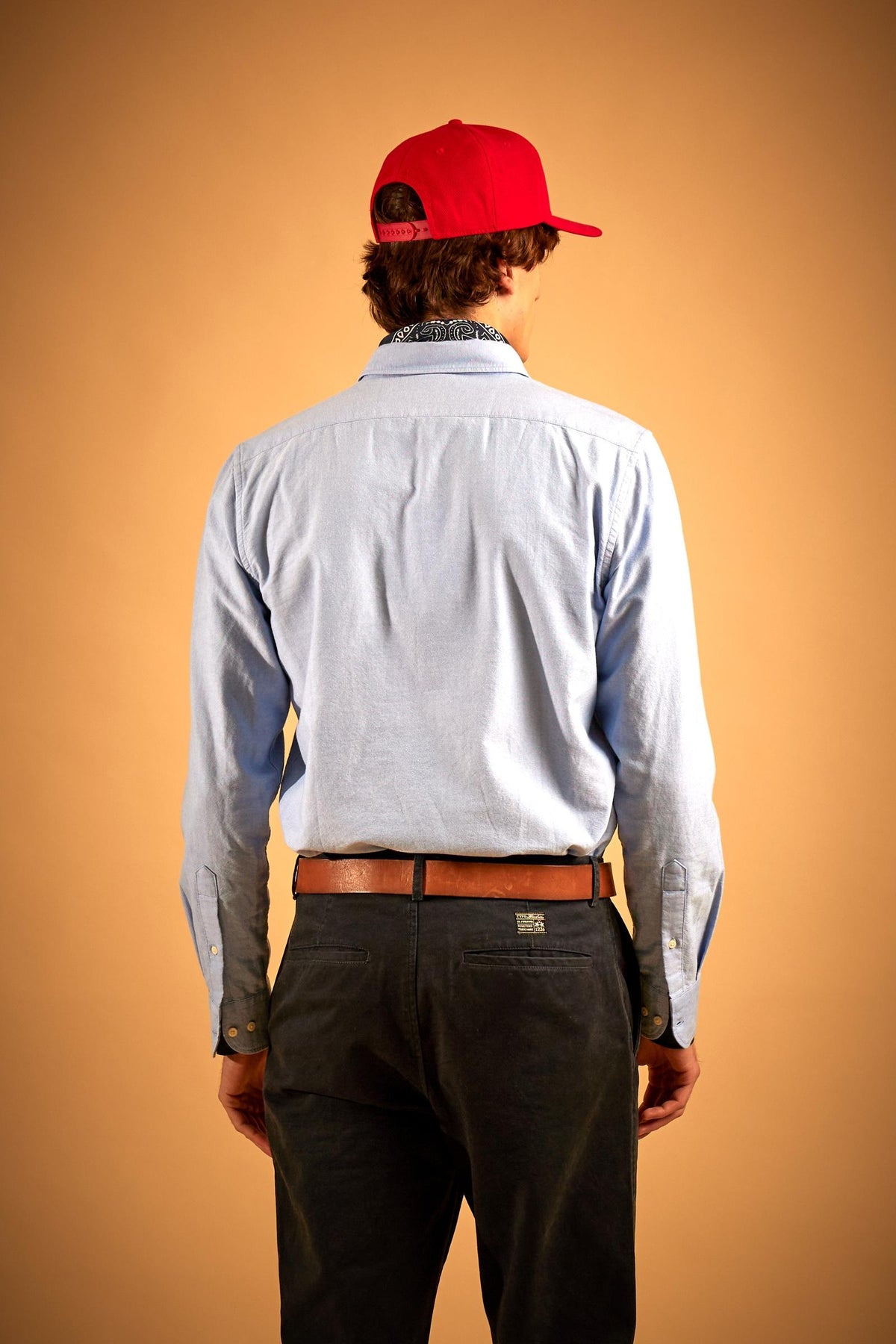 Men's regular fit oxford shirt - Rodolfo