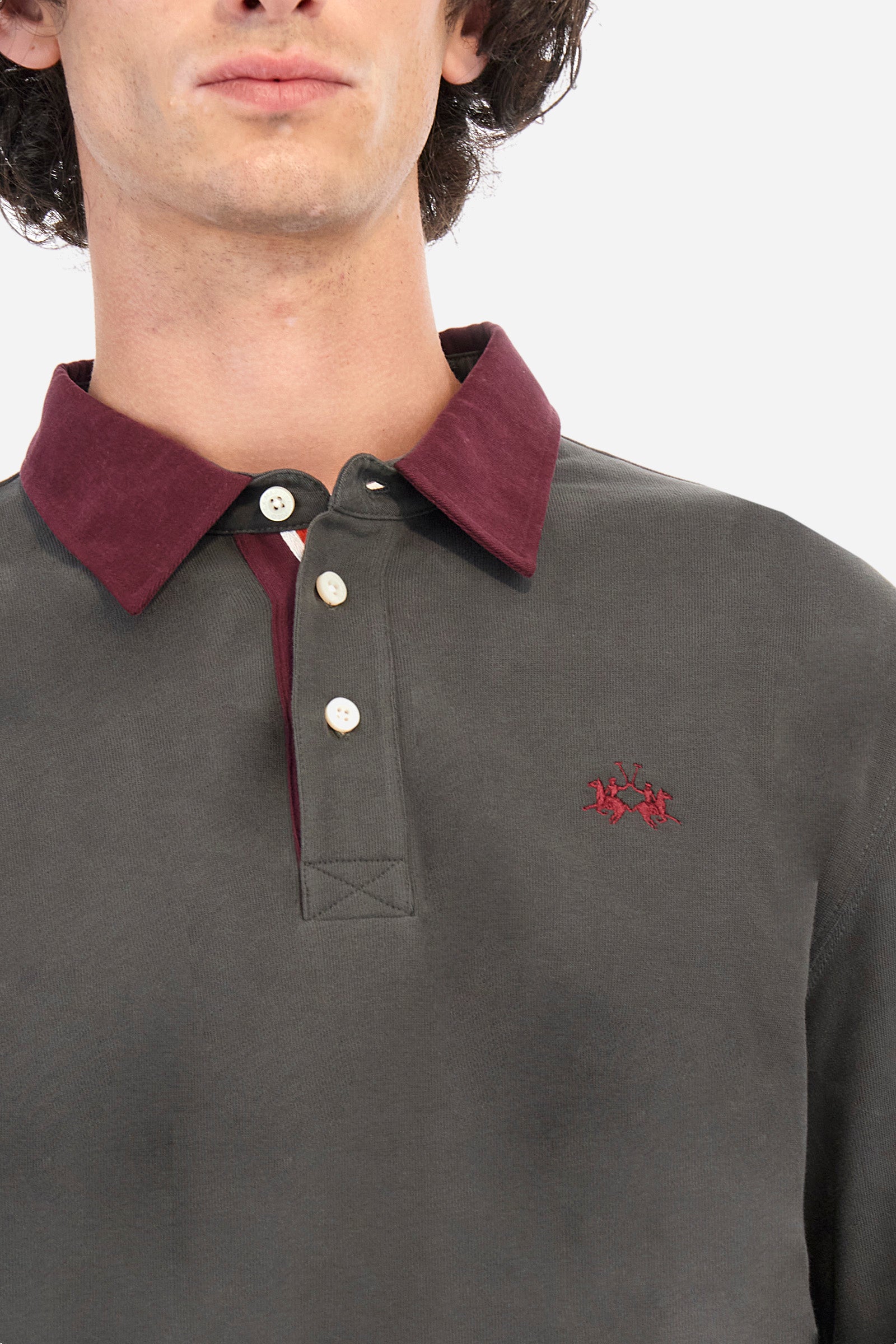 Regular-fit polo shirt in cotton - Ruggero