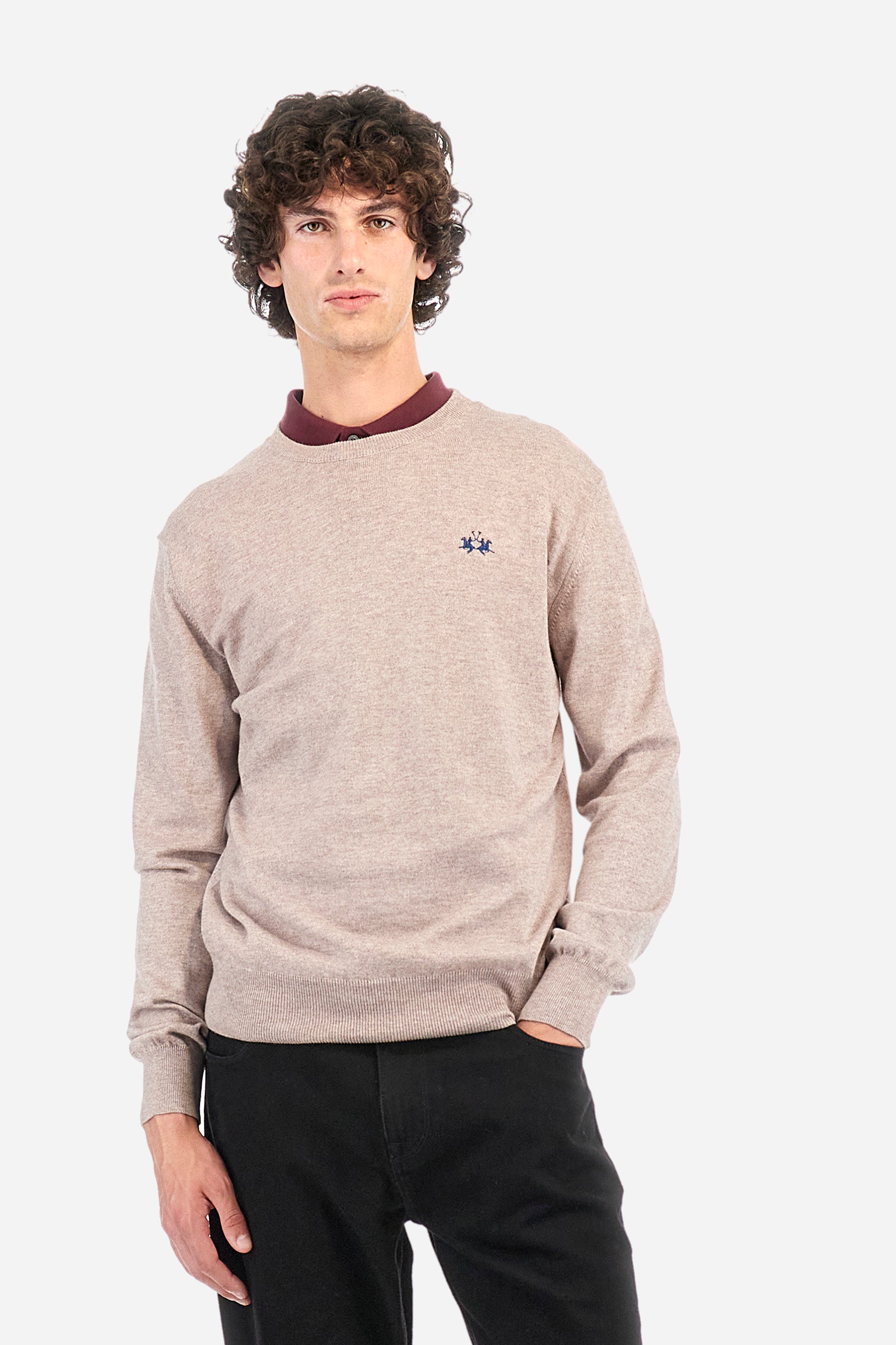 Regular fit pullover in cotton and wool - Zayden