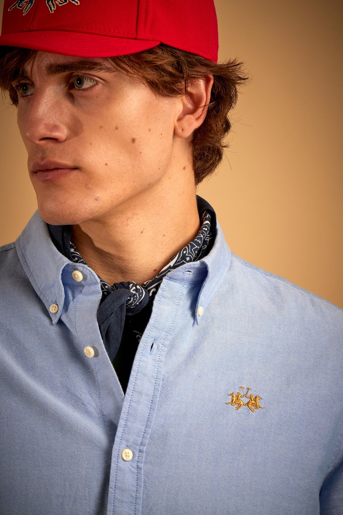 Men's regular fit oxford shirt - Rodolfo