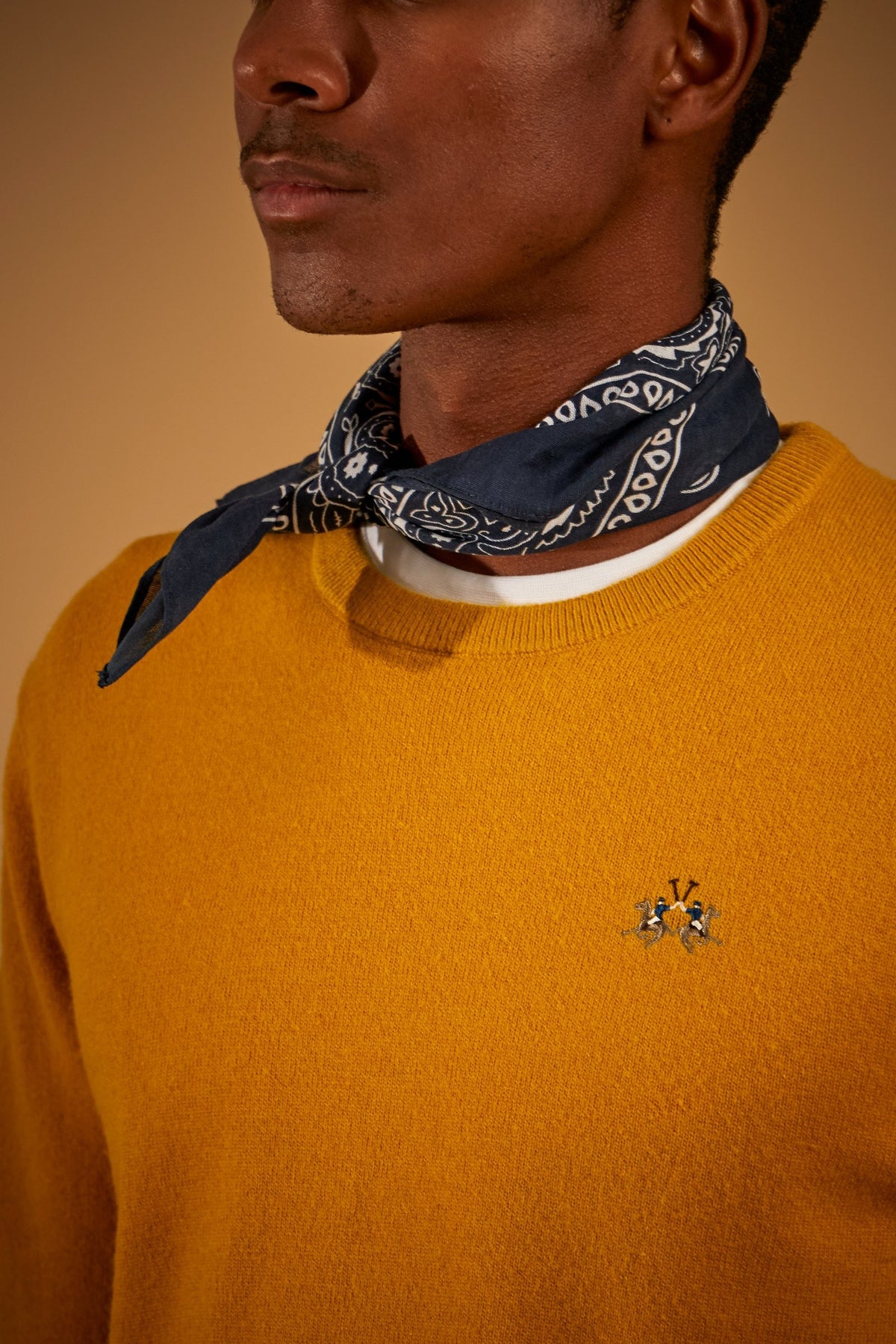Men's crew neck lambswool sweater with tricolor logo - Ethan