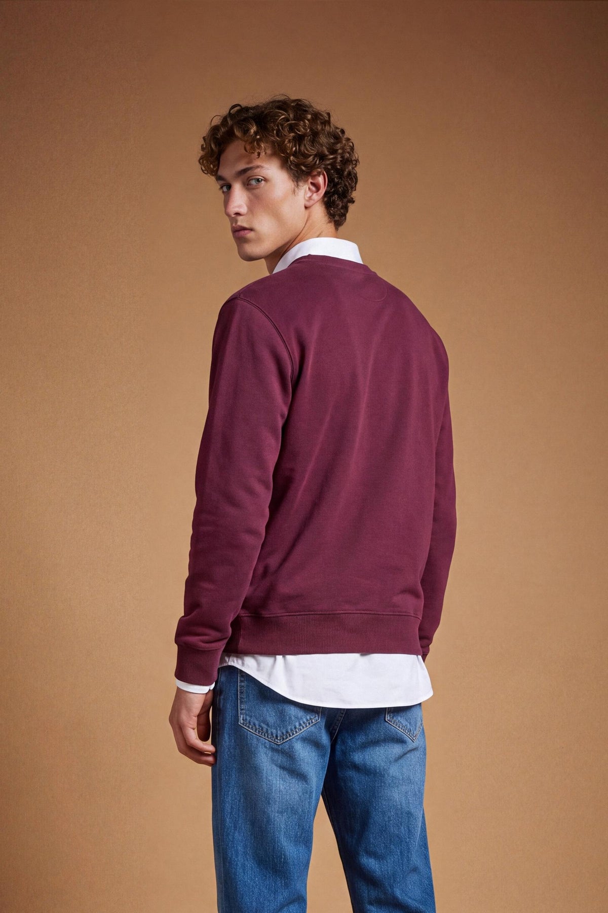 Men’s long-sleeve crewneck sweatshirt in soft 100% cotton with velvety texture, ribbed details, stitched "V" front, and contrast embroidered logo for a comfortable fit. - Port Royale