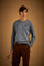 Men's crew neck t-shirt, cotton jersey, team logo - Ervin