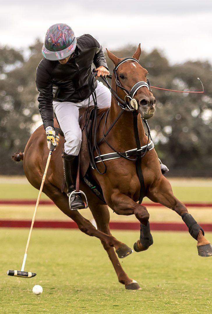 Eventi di polo La Martina